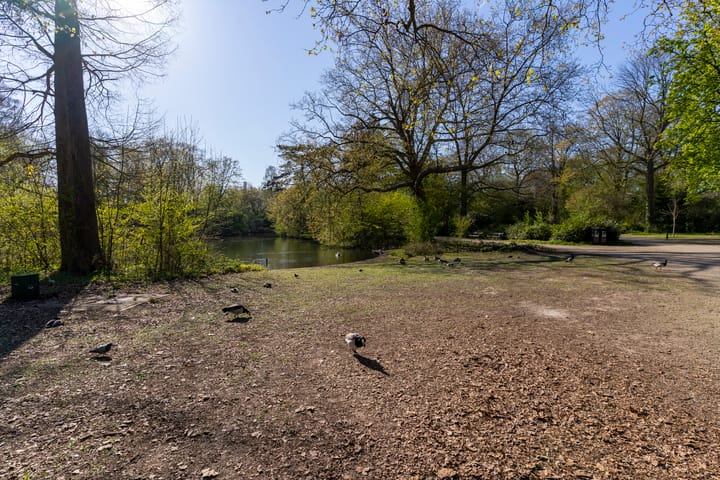 Foto 29 van Marnixlaan 43