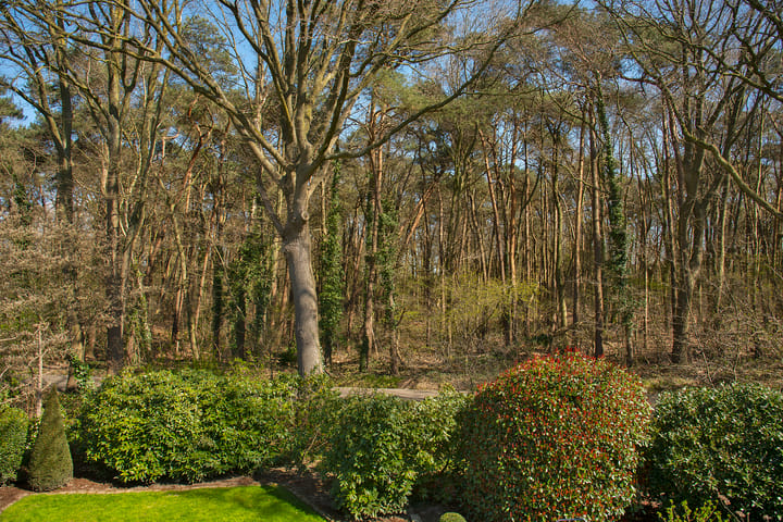 Foto 57 van Ardennenstraat 31