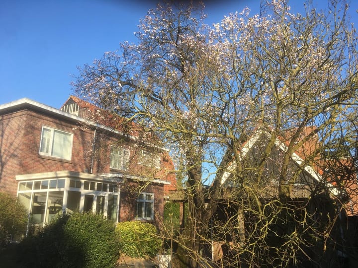 Foto 74 van Sint Martinusstraat 9