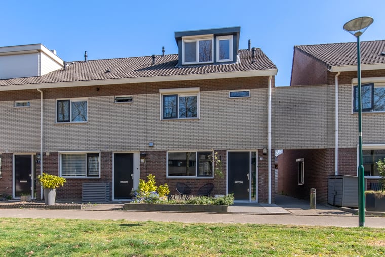 Honingzwam 35 main image