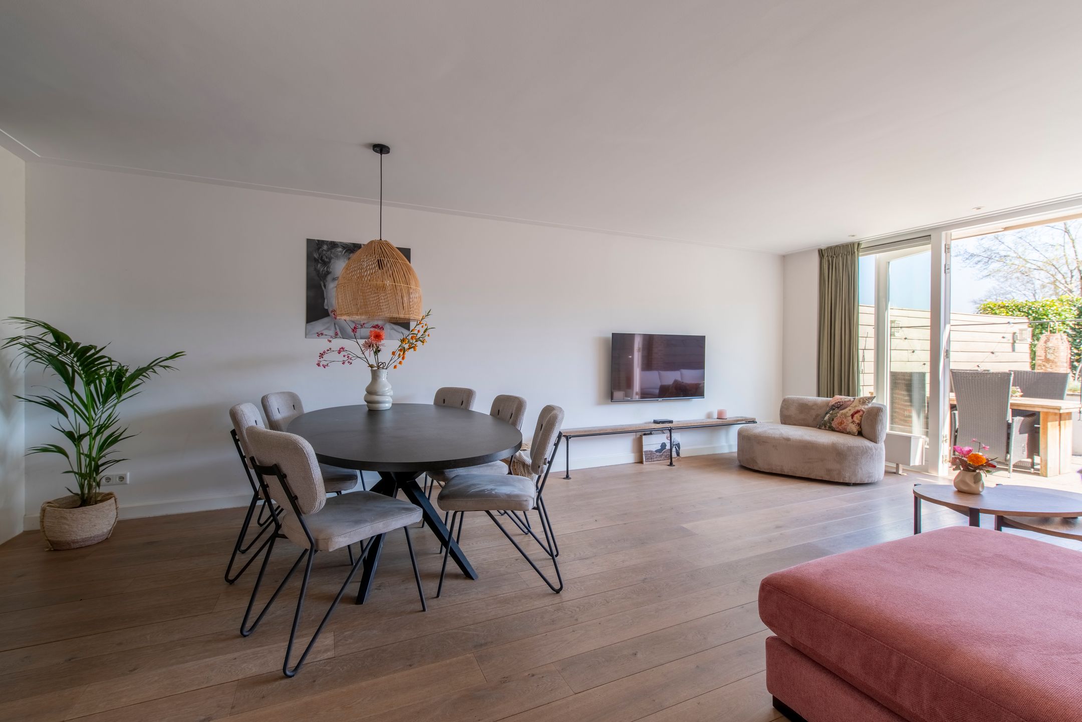 Foto 6 van Honingzwam 35