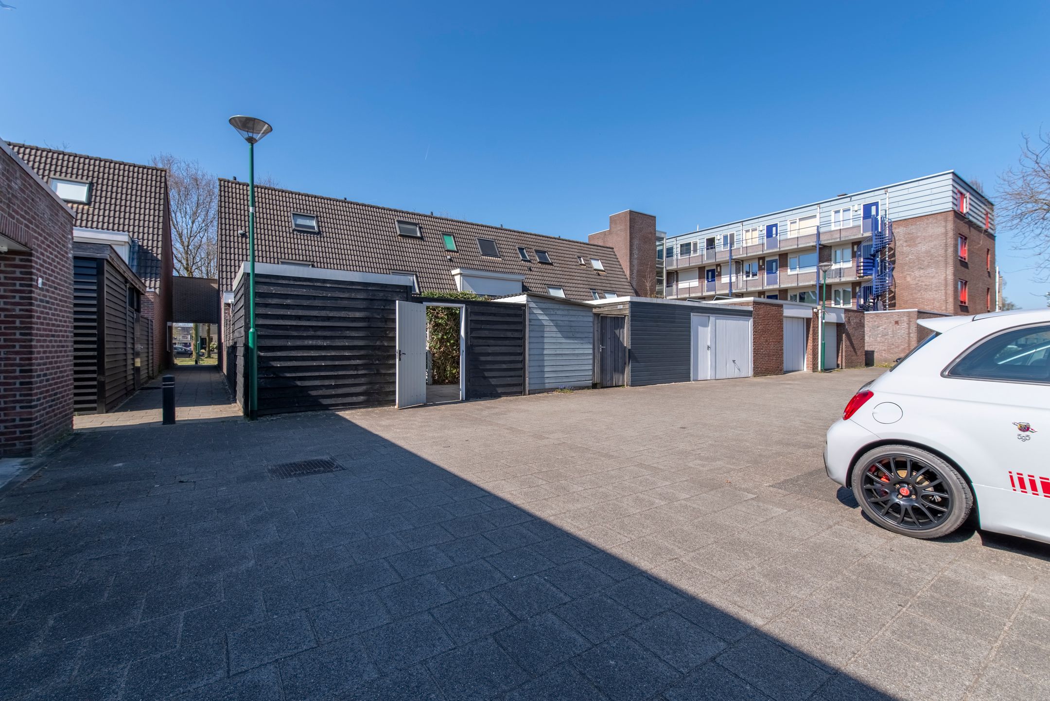 Foto 36 van Honingzwam 35