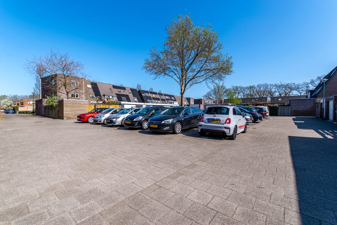 Foto 37 van Honingzwam 35