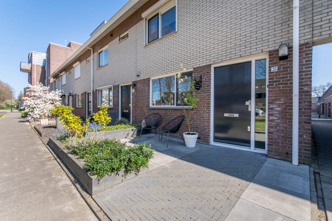 Foto 38 van Honingzwam 35