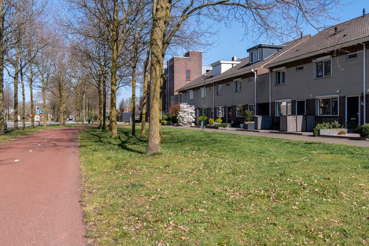 Foto 39 van Honingzwam 35