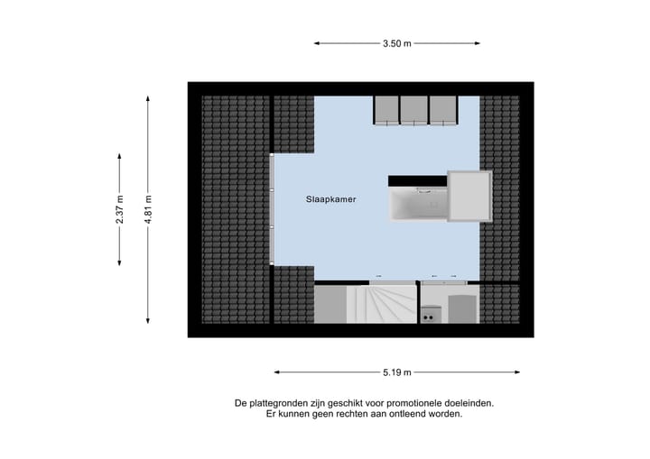 Foto 42 van Honingzwam 35