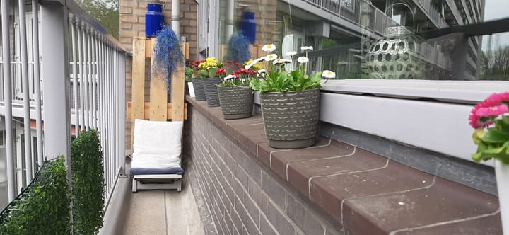 Foto 30 van Griegplein 52