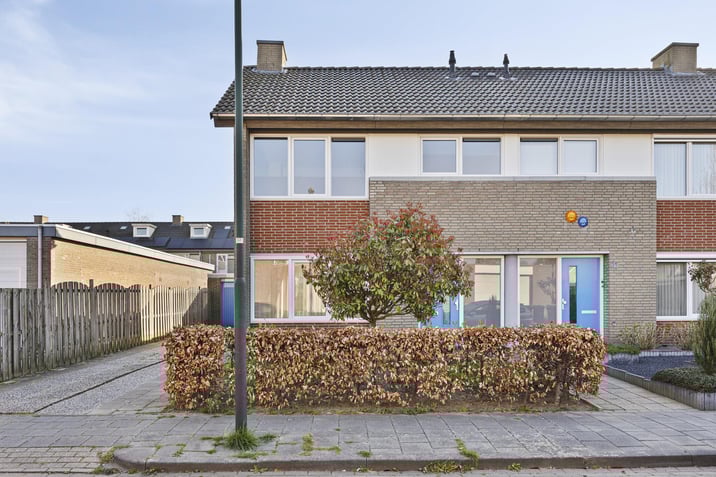 undefined main image