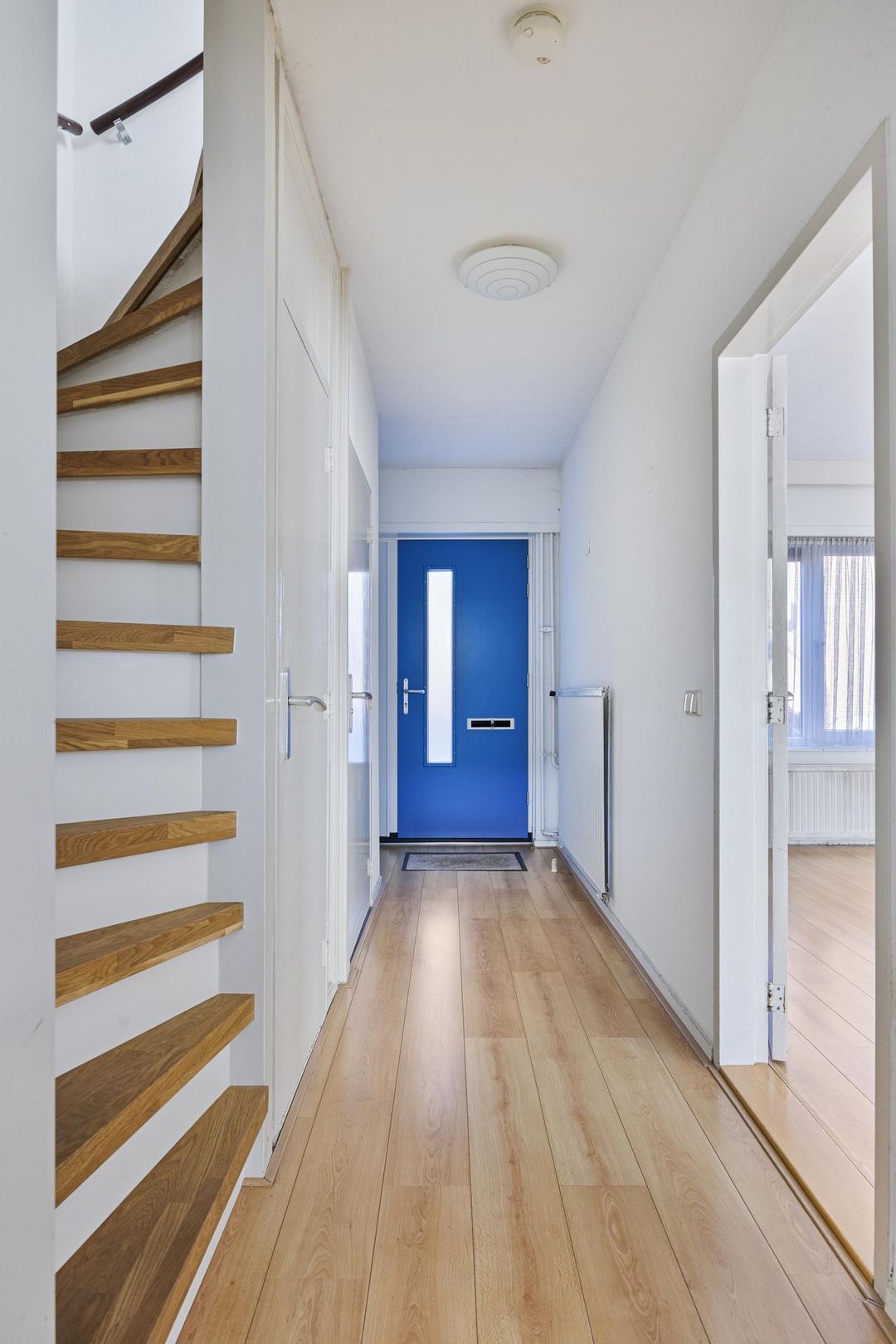 Photo 2 of Aquila 33