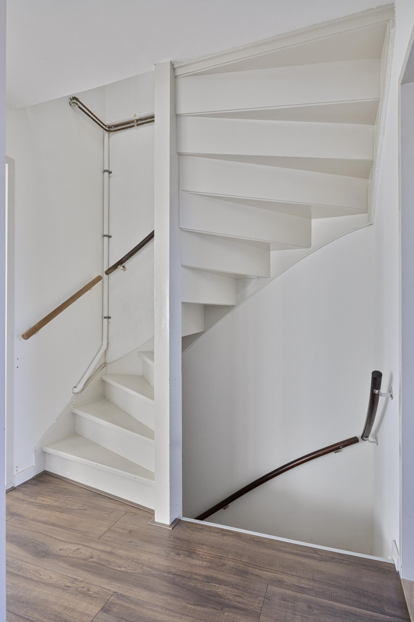 Photo 10 of Aquila 33