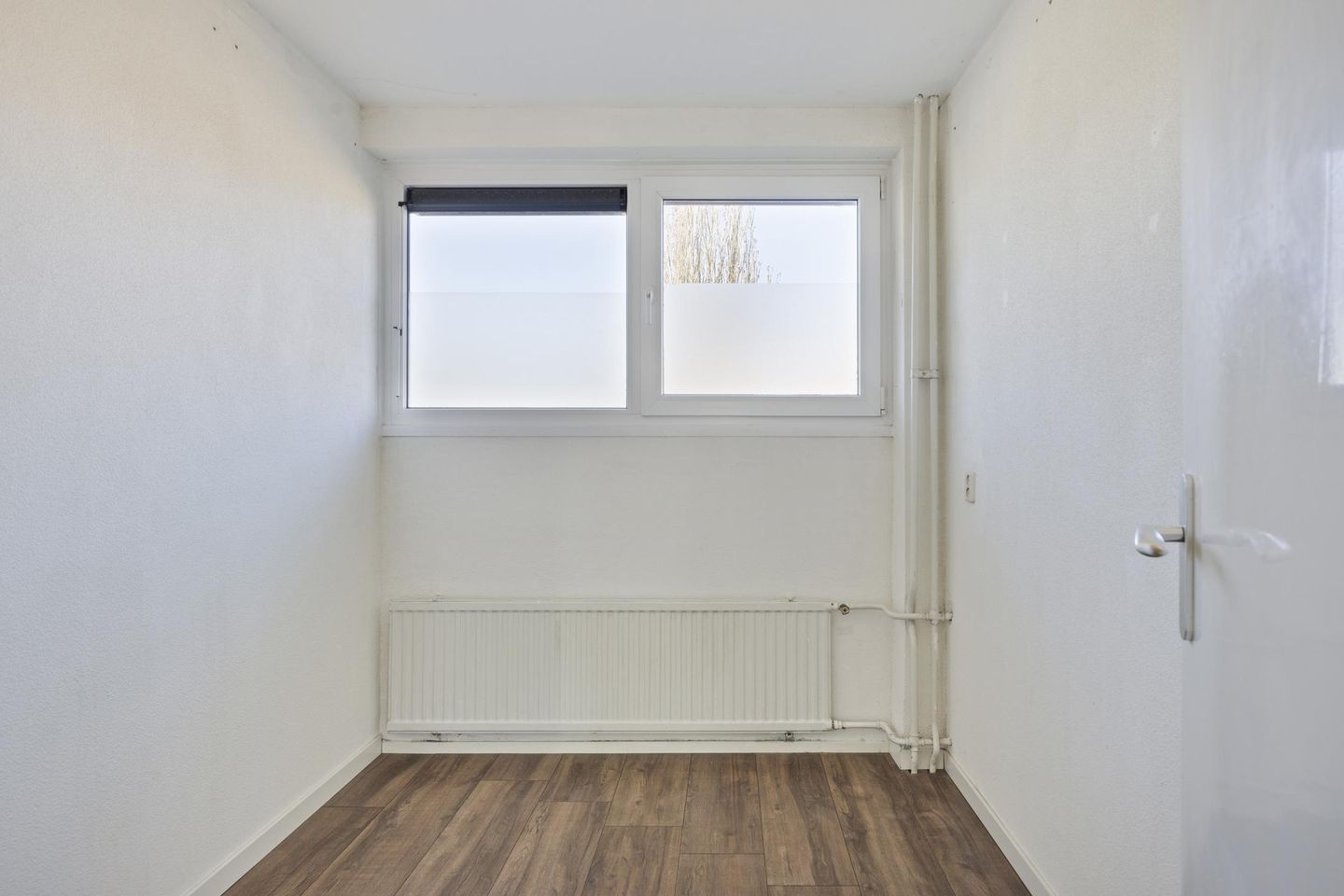 Photo 19 of Aquila 33