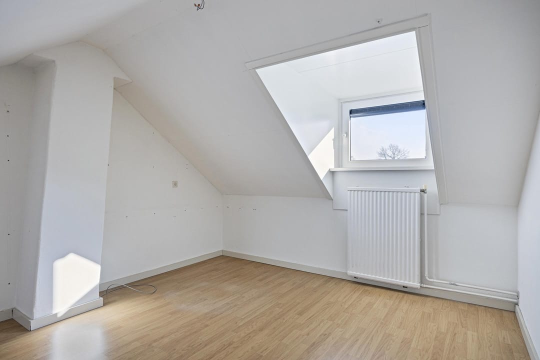 Photo 23 of Aquila 33