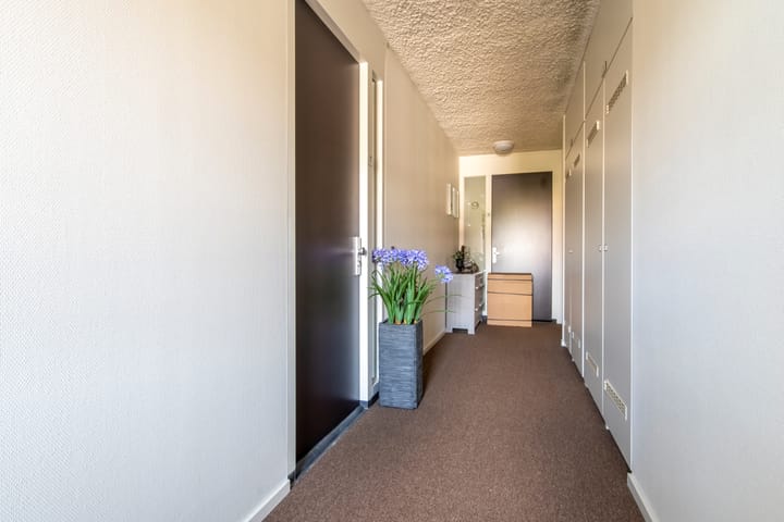 Foto 8 van Van de Polerf 7