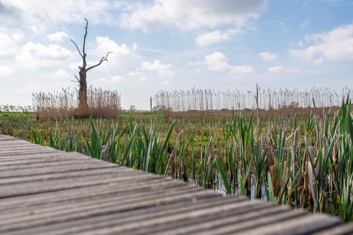 Foto 33 van Van de Polerf 7