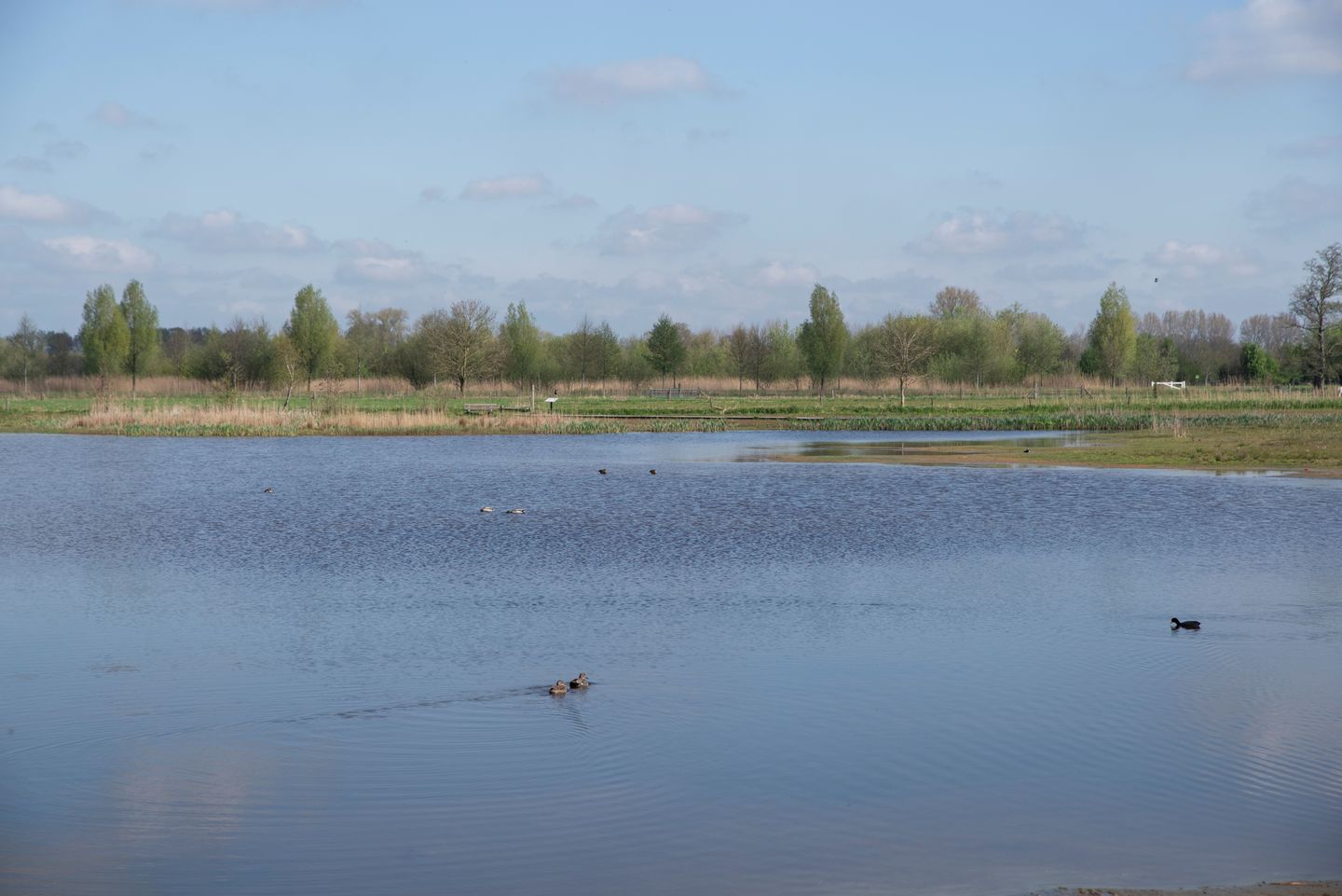 Foto 34 van Van de Polerf 7