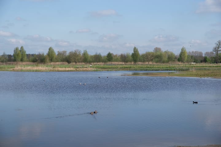 Foto 34 van Van de Polerf 7