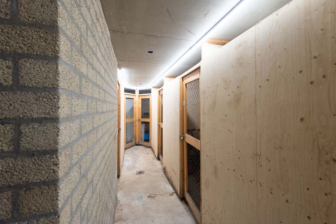 Foto 21 van Paardenmarkt 39