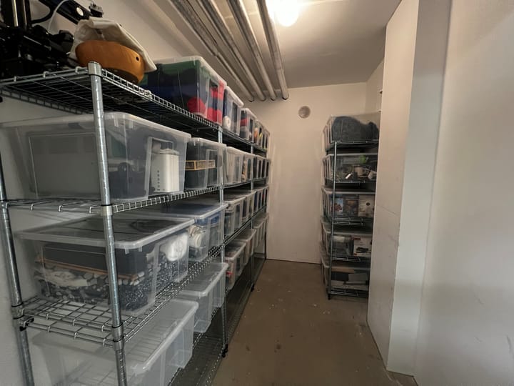 Photo 15 of Bos en Lommerplantsoen 97-C