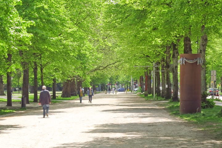 Photo 5 of Bellevuelaan 17