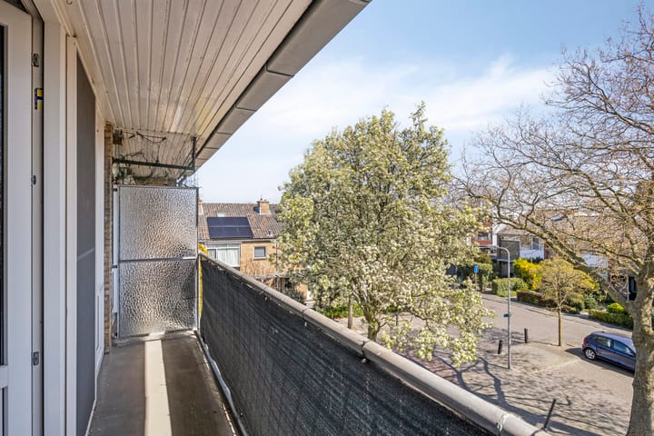 Foto 25 van Plein 1957 5