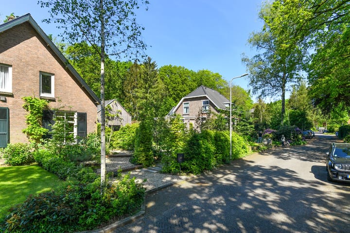 Foto 7 van Heelsumseweg 21