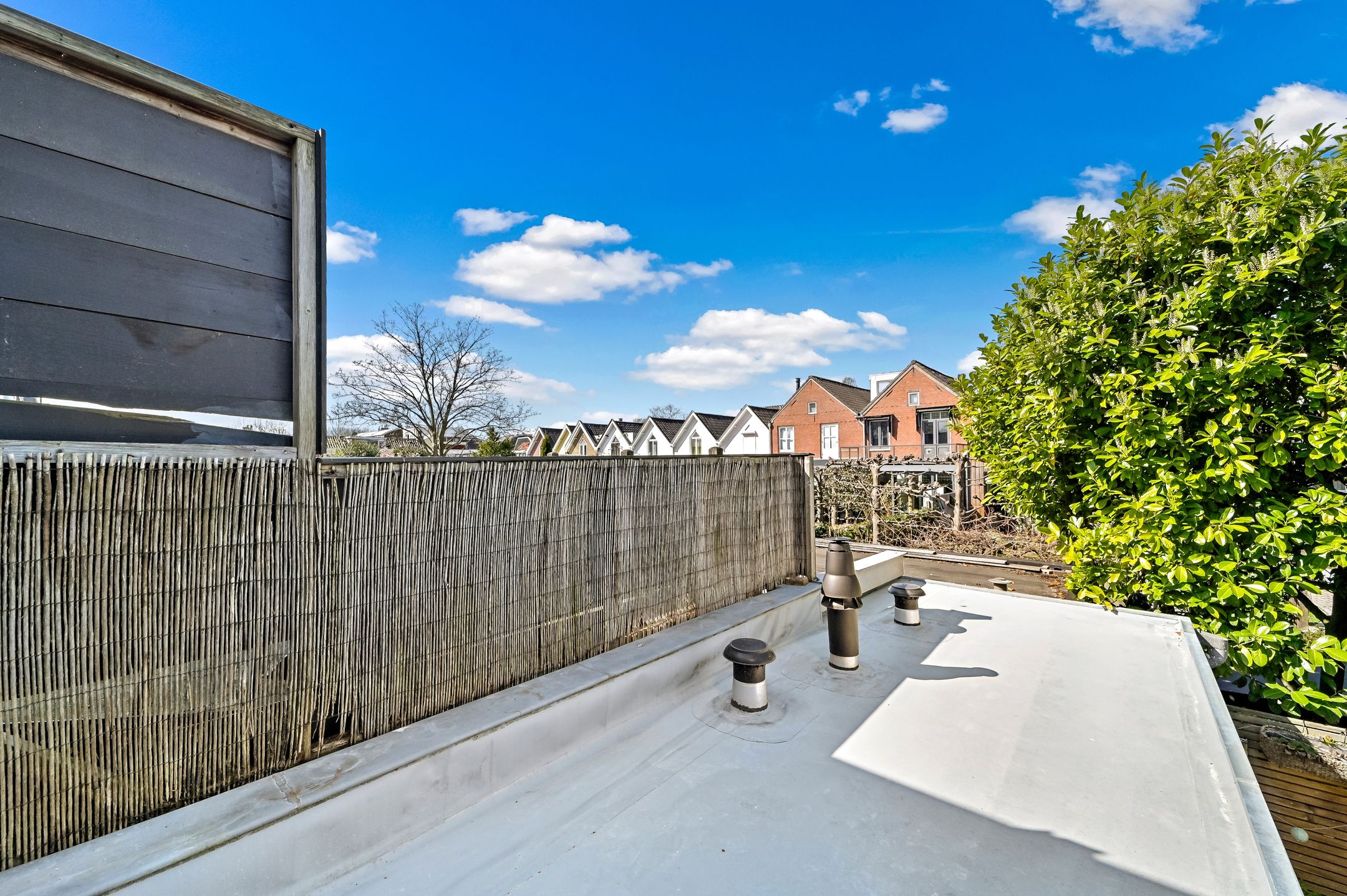 Photo 21 of Eliza Dorusstraat 12