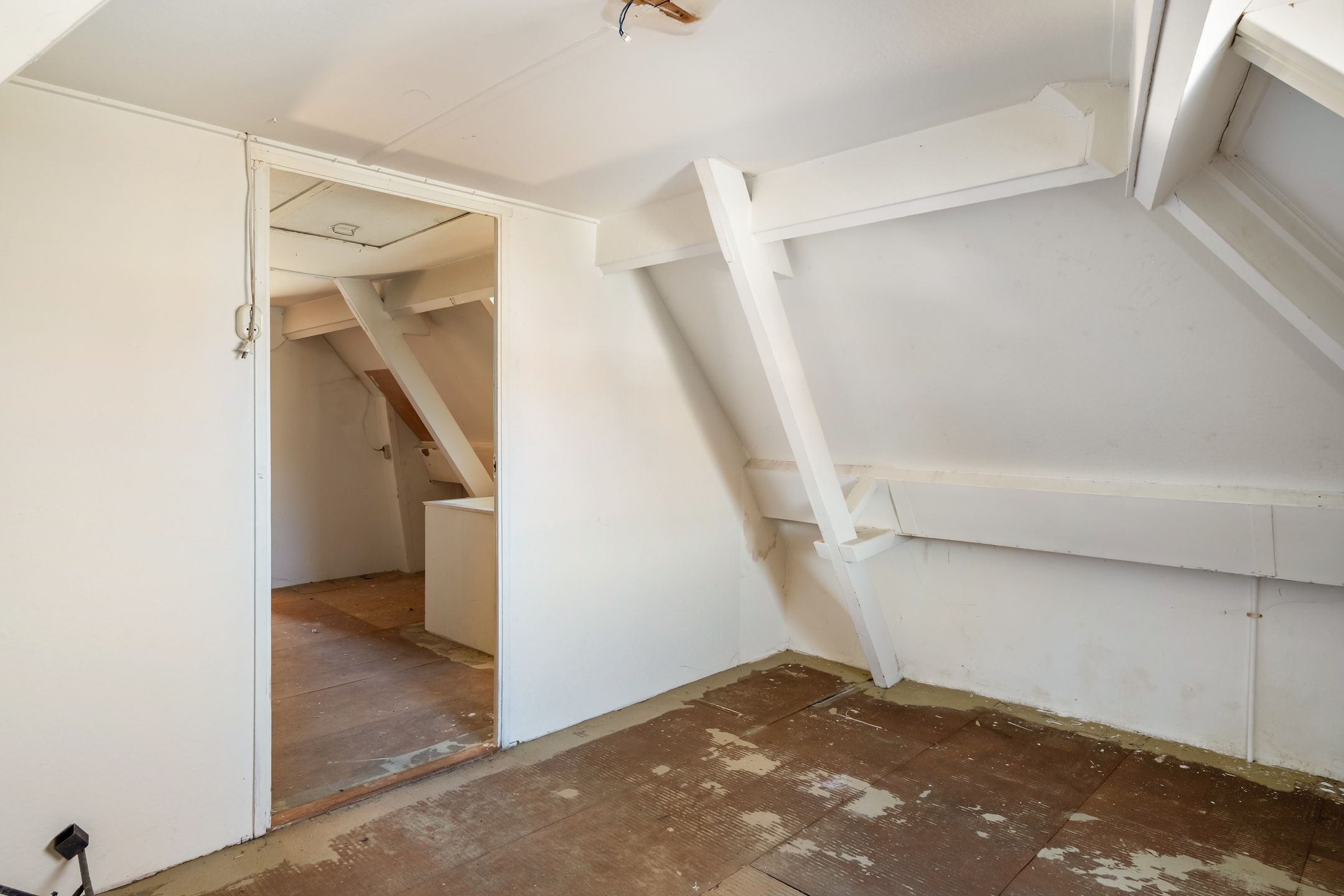 Foto 45 van Knolhaven 45