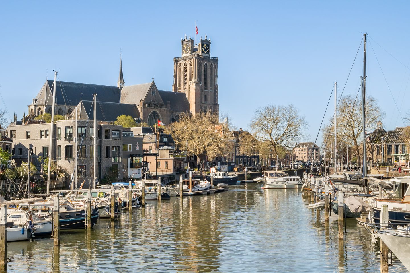 Foto 50 van Knolhaven 45