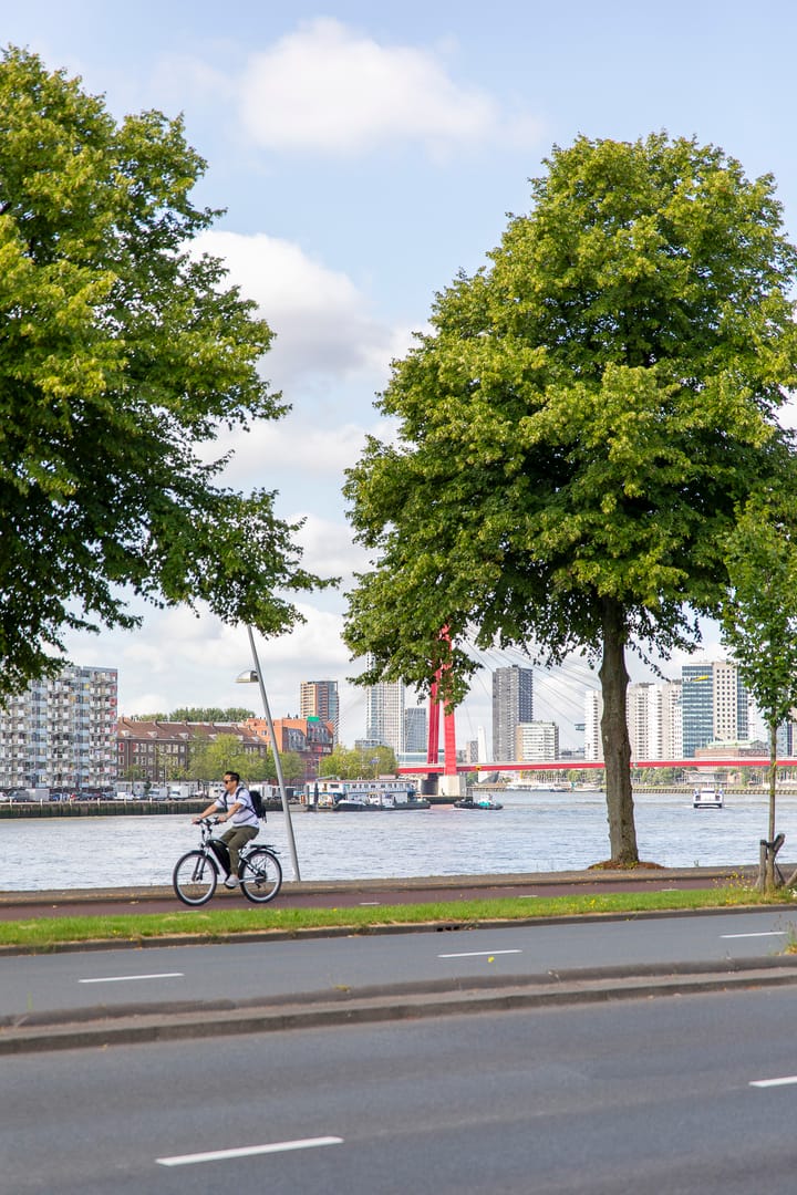 Foto 18 van Oostmaaslaan 245-B01