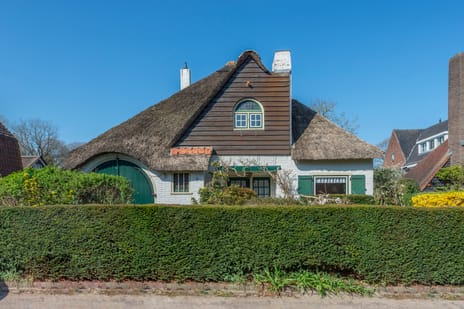 undefined main image