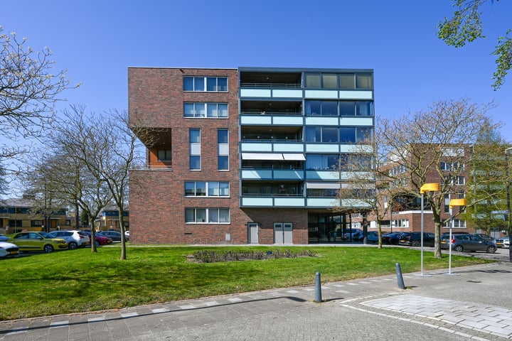 Photo 2 of Makoréhout 23