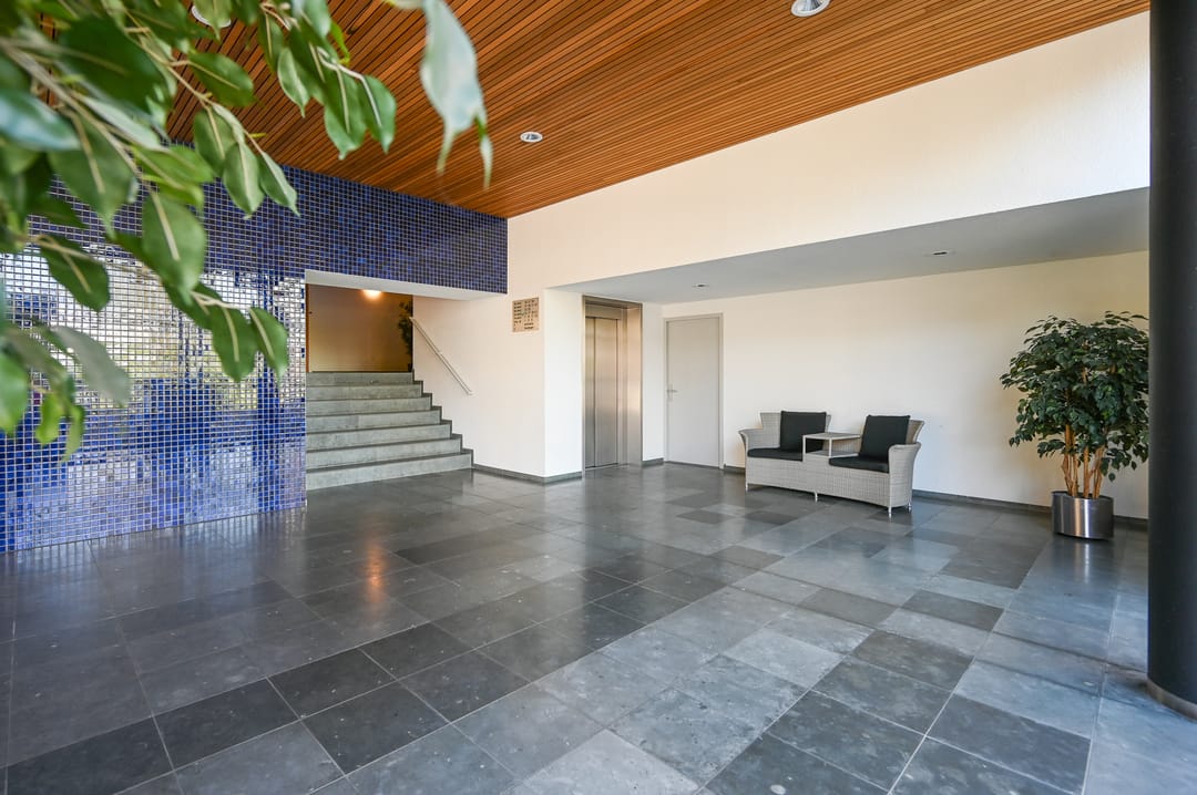 Foto 26 van Makoréhout 23