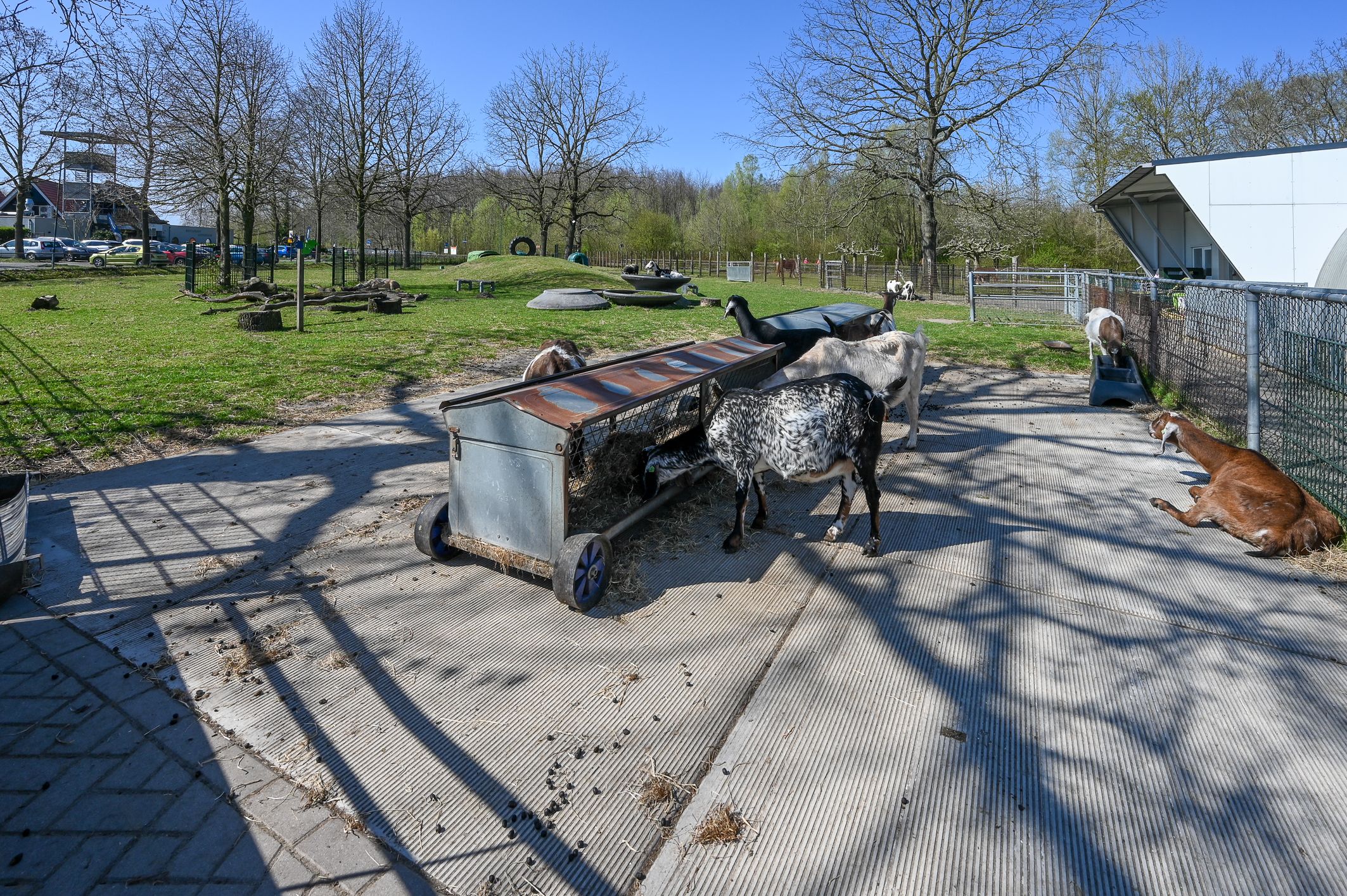 Foto 36 van Makoréhout 23