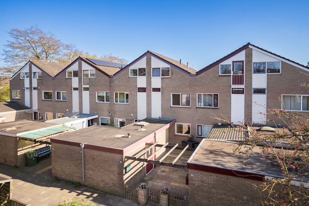 Foto 1 van Lenteklokje 97