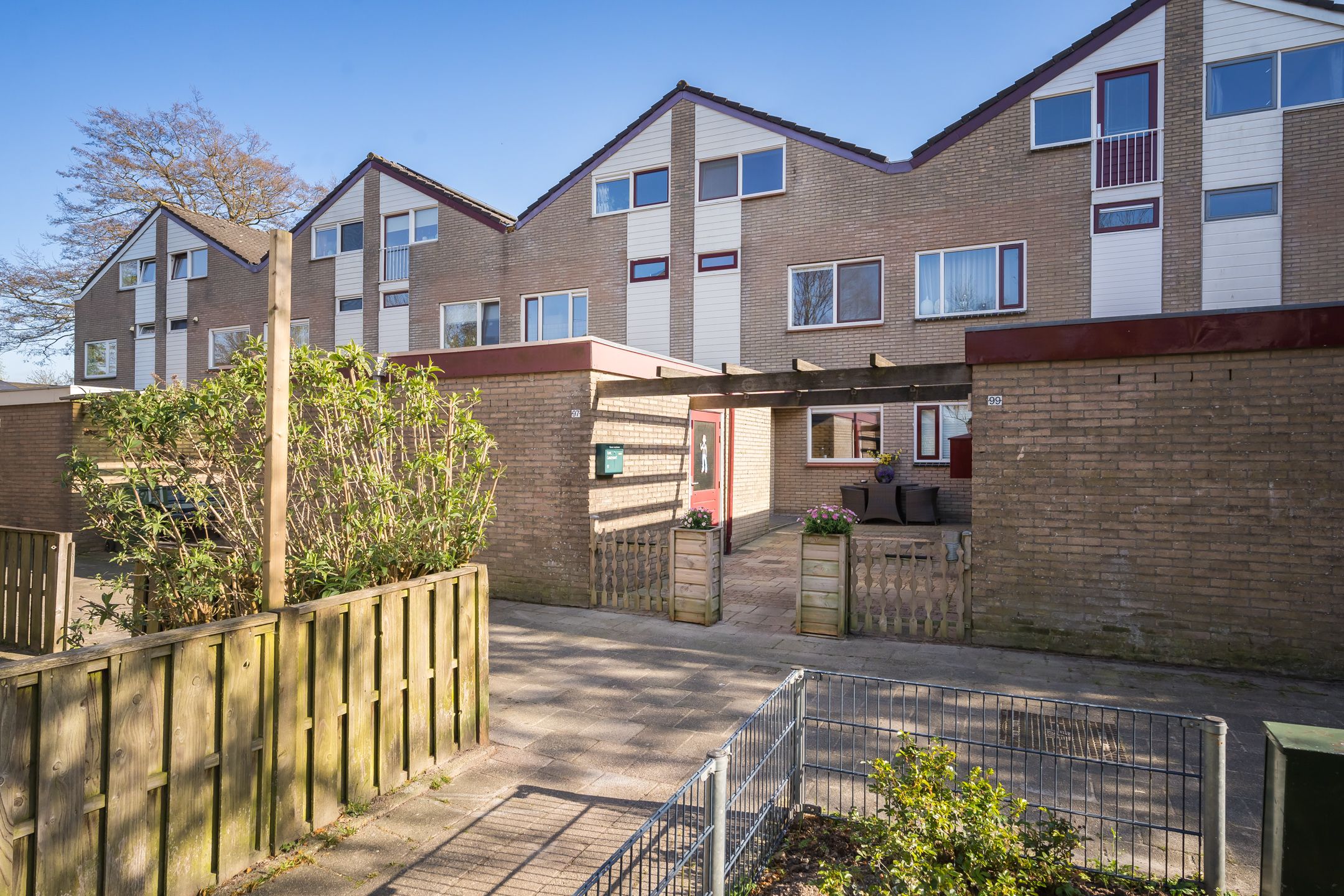 Foto 6 van Lenteklokje 97