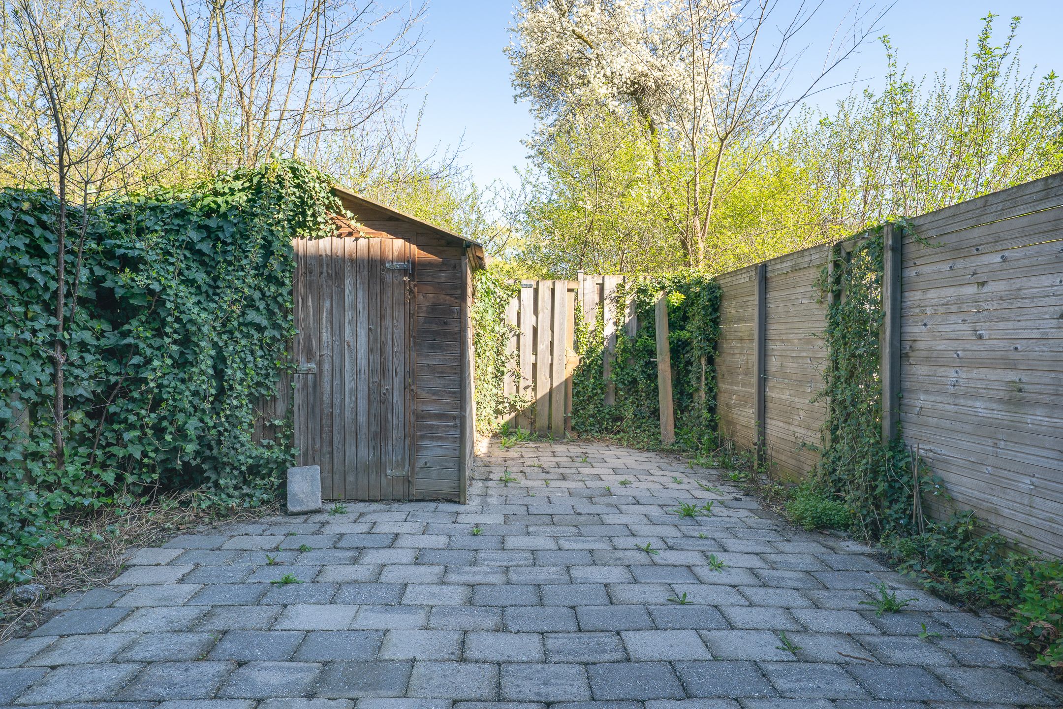 Foto 42 van Bregwaard 148