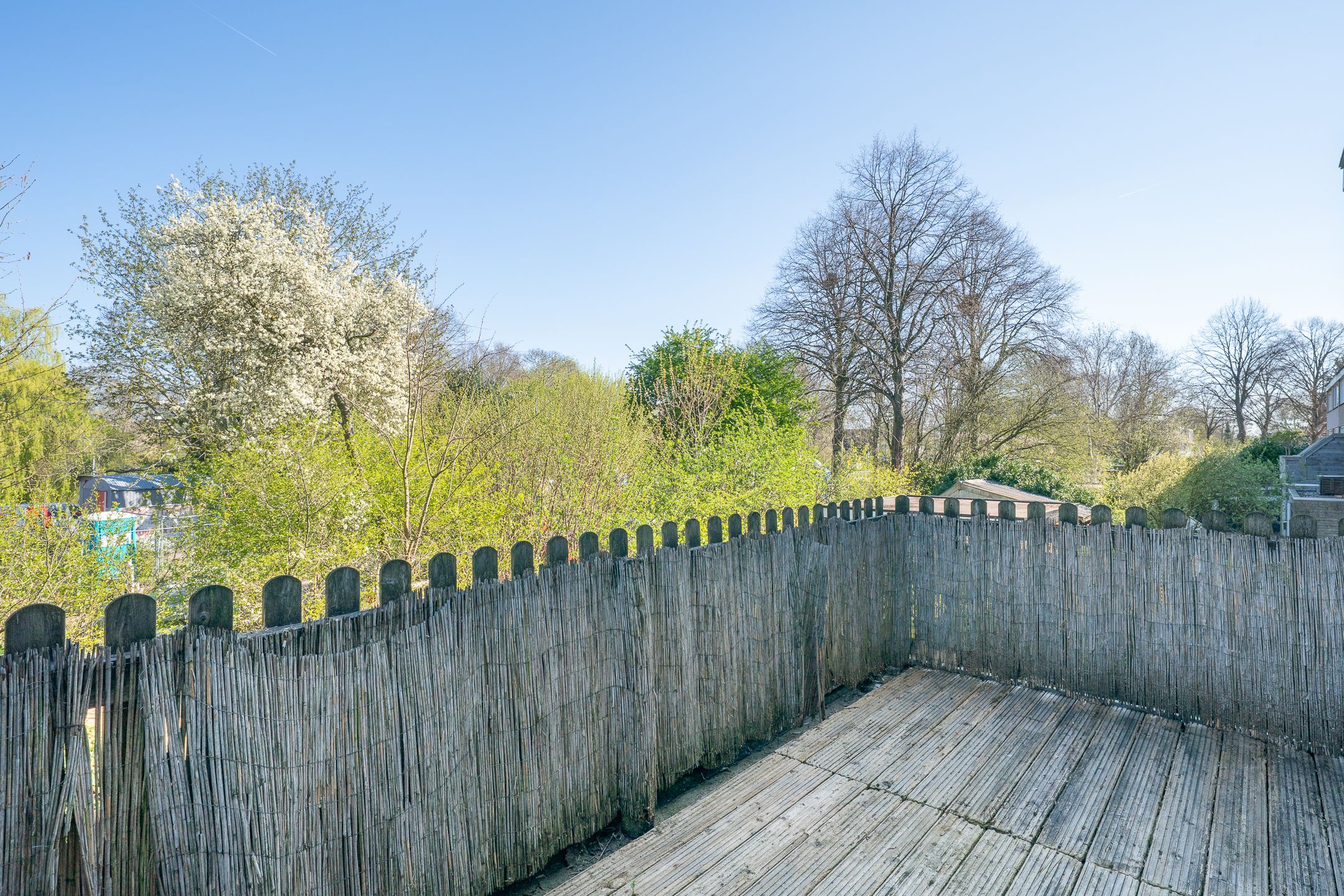 Foto 45 van Bregwaard 148