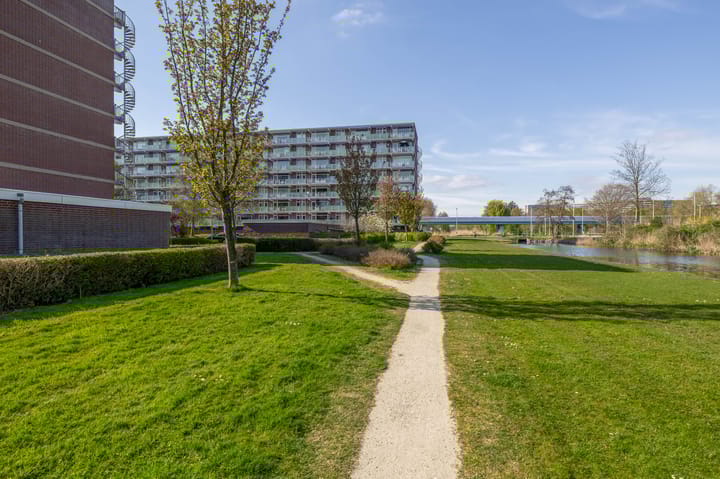 Foto 42 van Alkenoord 204