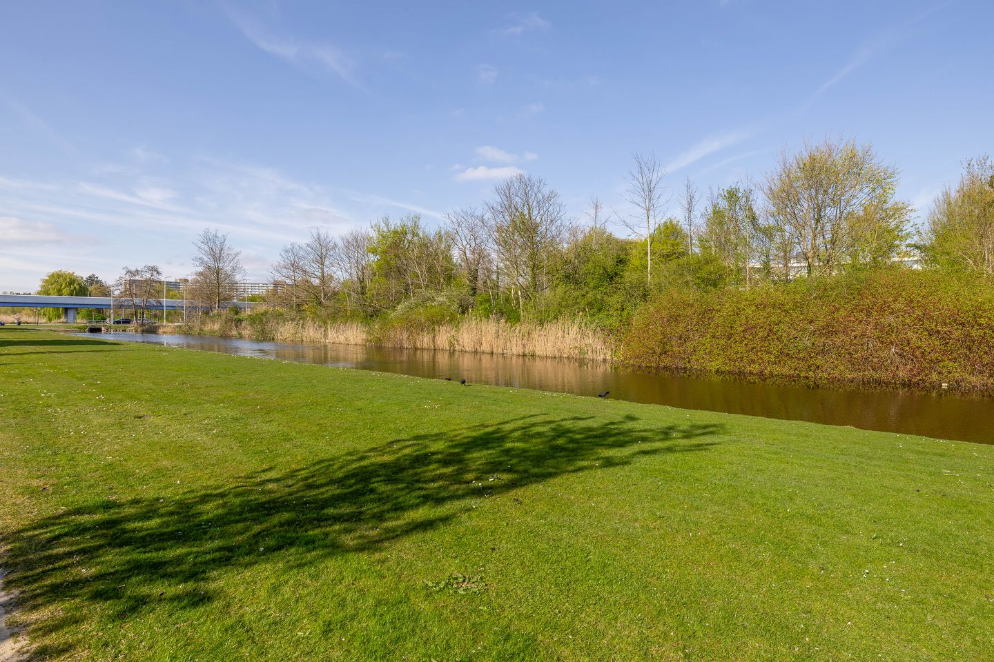 Foto 44 van Alkenoord 204