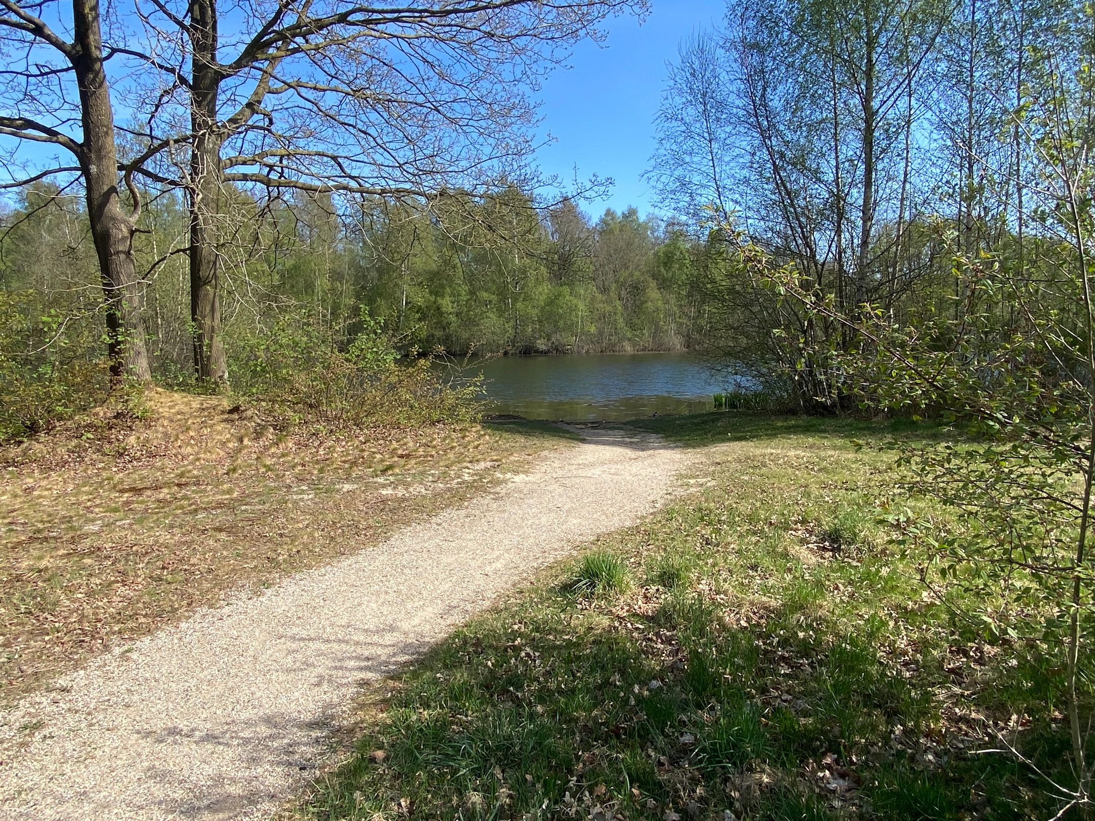 Foto 48 van Laan van het Kwekebos 382
