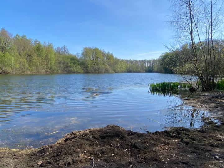 Foto 49 van Laan van het Kwekebos 382