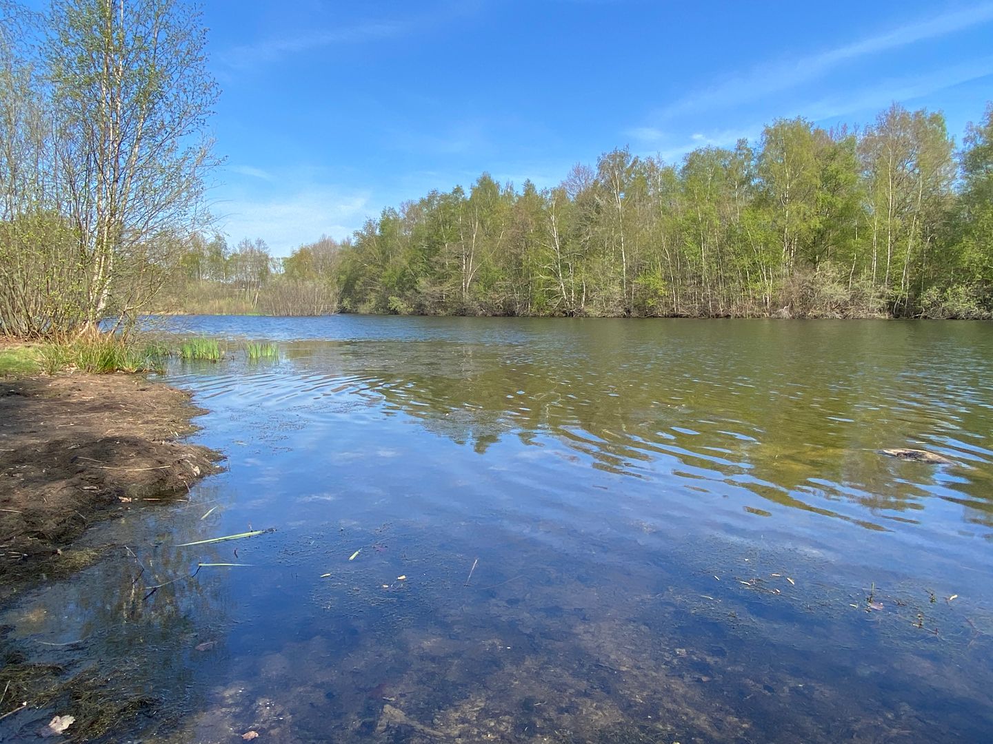 Foto 50 van Laan van het Kwekebos 382