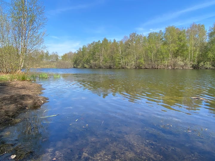 Foto 50 van Laan van het Kwekebos 382