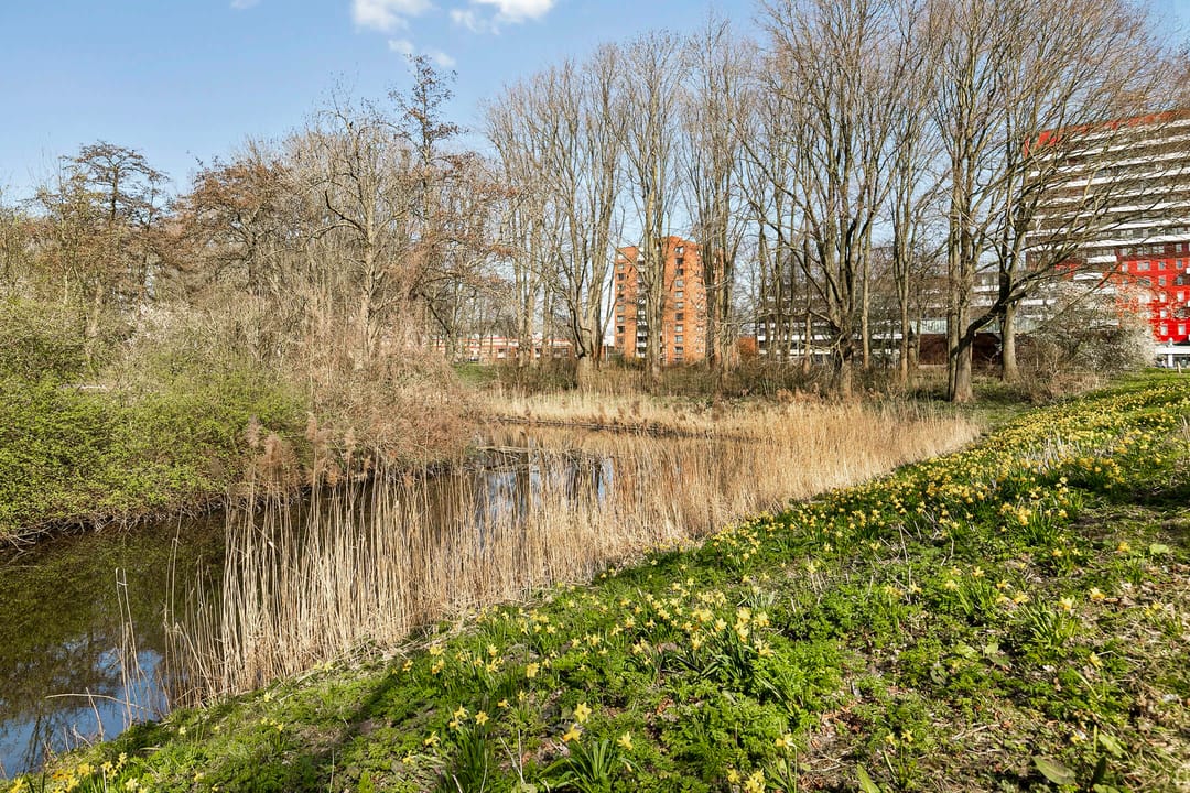 Foto 31 van Langswater 747