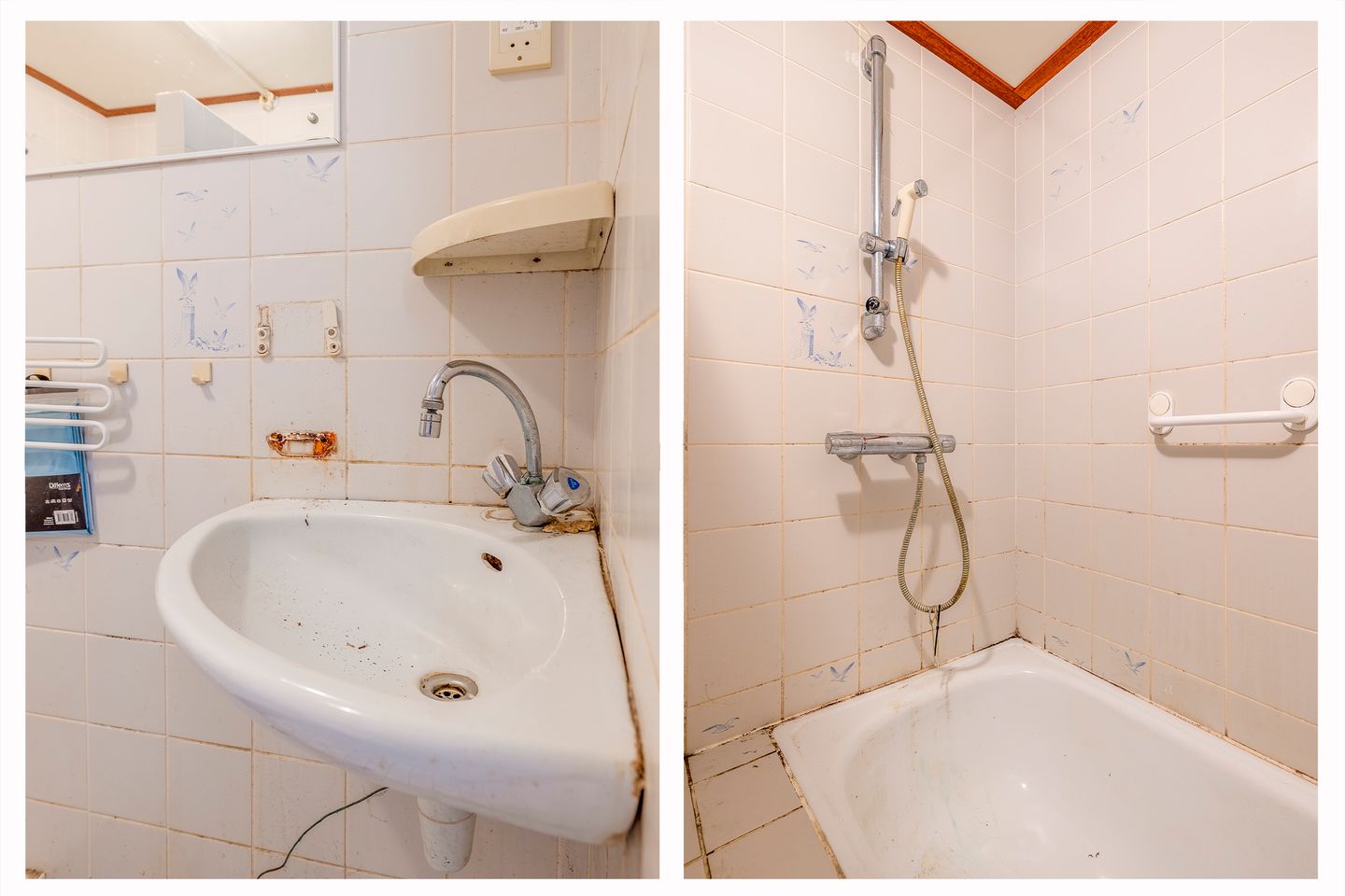 Foto 25 van Clusiuslaan 309