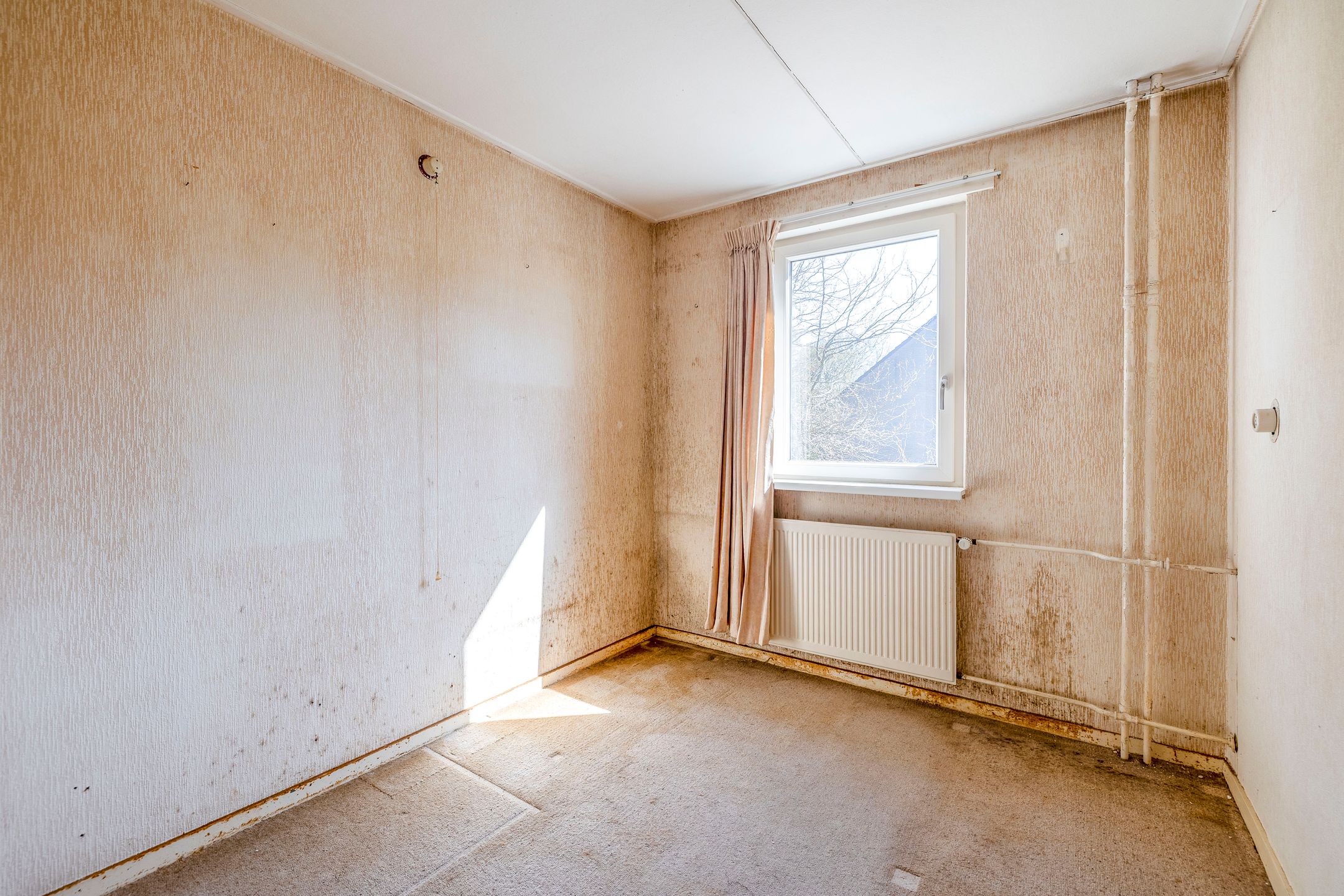 Foto 27 van Clusiuslaan 309