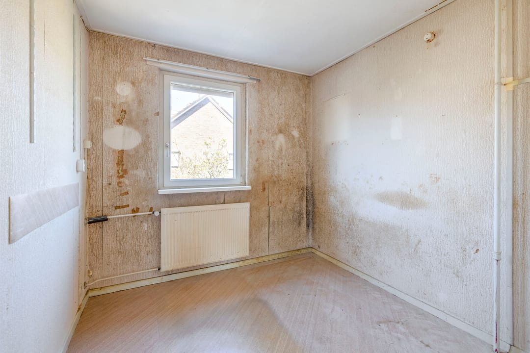 Foto 28 van Clusiuslaan 309