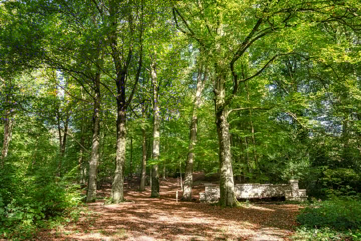 Photo 45 of Pinkenbergseweg 37