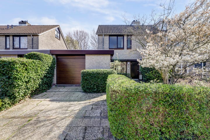 Foto 1 van Beemdgras 36