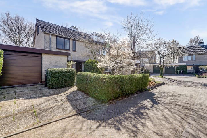 Foto 5 van Beemdgras 36